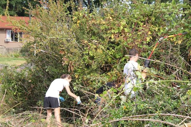 Volunteers came starting at 9 a.m. to help clean Terrace Ridge Park