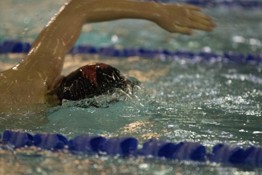 Mens Swim places third at district championship meet