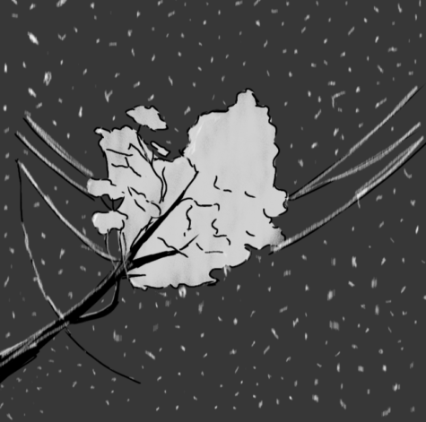 An illustration of a tree falling into powerlines, with the dark background contrasting the white snowy tree and snow falling.