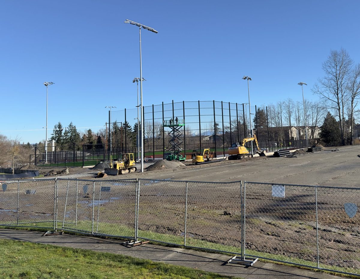 On February 16, the backstop fencing was installed along with the netting along each baseline. Two workers are atop the lift in the center of the frame. Also, the artificial turf had just recently been laid down, but not finished.