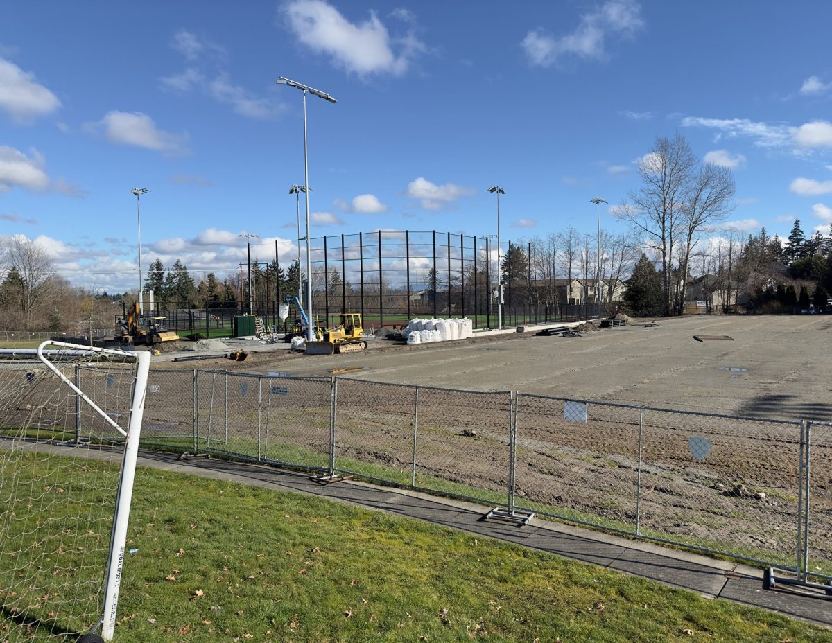 On Feb. 22, the artificial turf was finalized on the field with only the auxiliary areas (batting cages, etc.) remaining to be installed. Infrastructure work had also been completed on the future soccer field just south of the softball park.