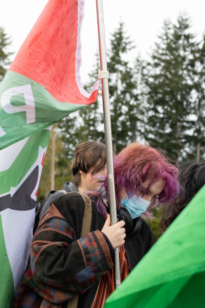 Mountlake Terrace student holds up a flag representing support for Palestine.